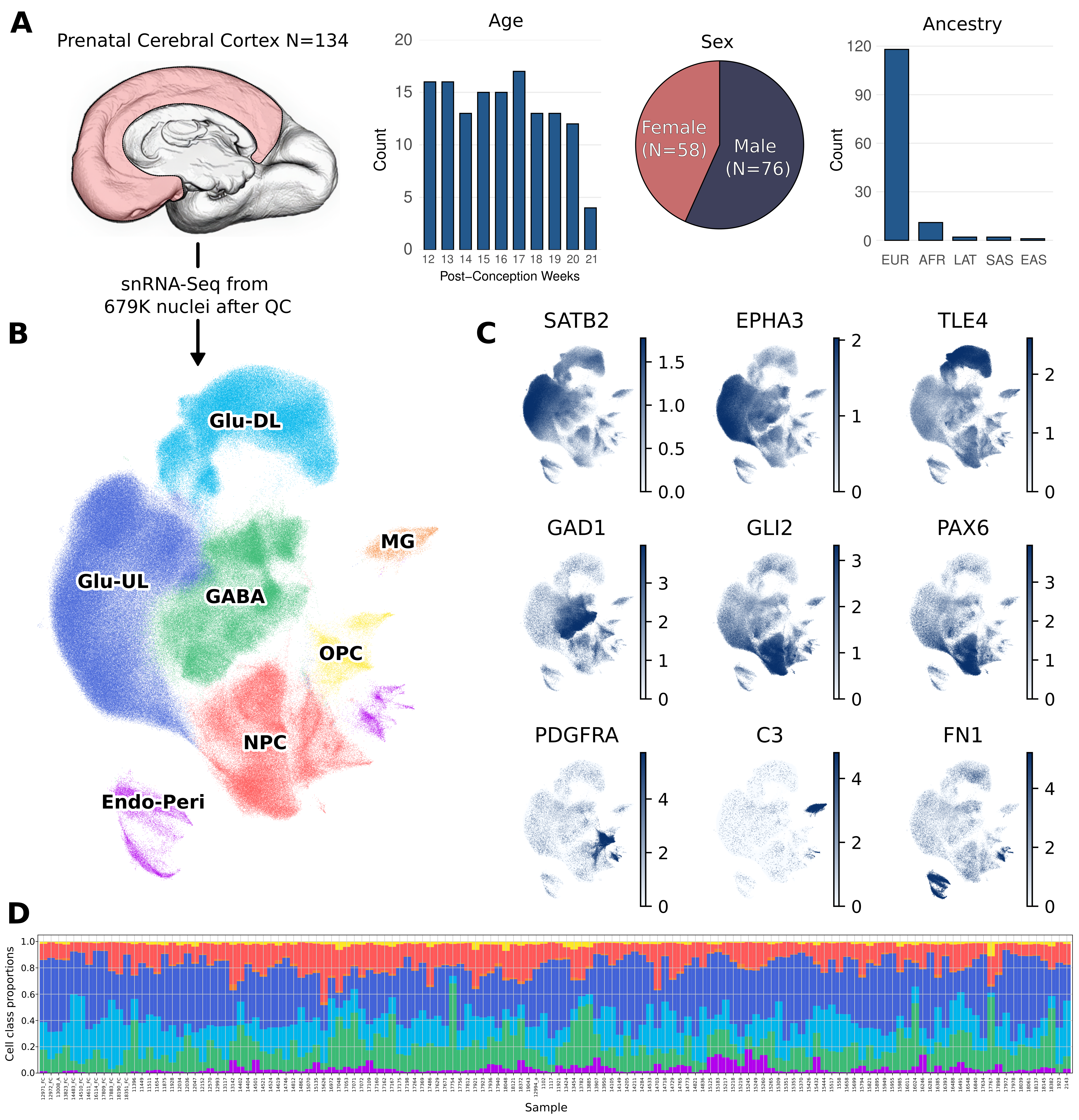 eQTL pipeline overview